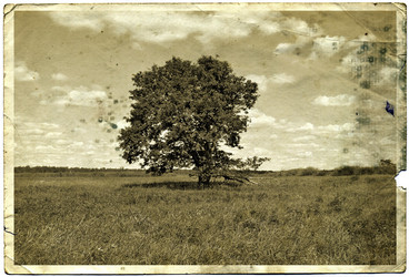 Similar image 449629