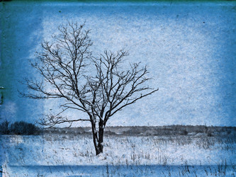 Similar image 449630