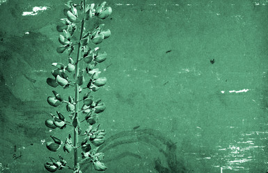 Similar image 449634