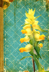 Similar image 449637