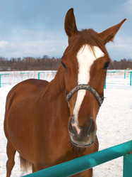 Similar image 449650