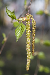 Similar image 449673