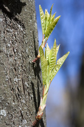 Similar image 449676