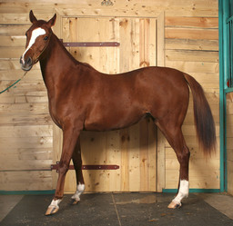 Similar image 449680