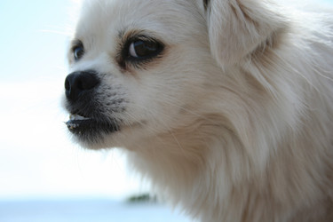 Similar image 449689