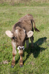 Similar image 449697