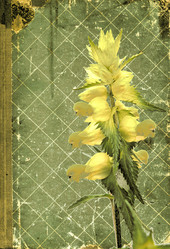 Similar image 449717