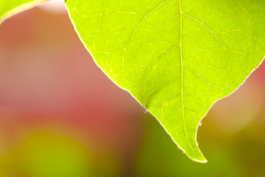 Similar image 449720