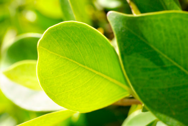 Similar image 449721