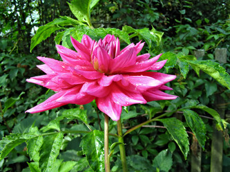 Similar image 449734