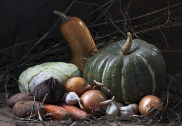 Similar image 449738