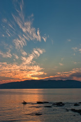 Similar image 449745