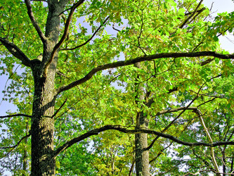 Similar image 449759