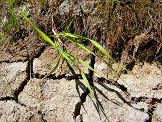 Similar image 449787