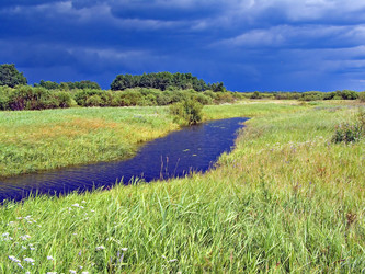 Similar image 449796