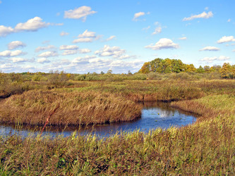 Similar image 449799