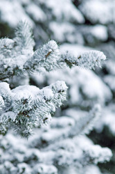 Similar image 449810