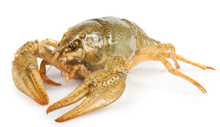 Similar image 449833