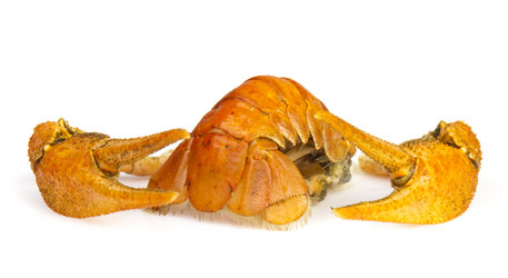 Similar image 449834