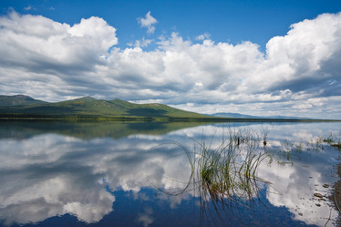 Similar image 449910