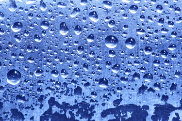 Similar image 449942