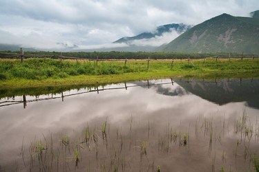 Similar image 449952