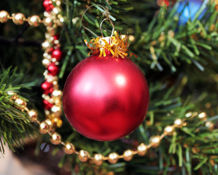 Similar image 449965