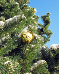 Similar image 450002