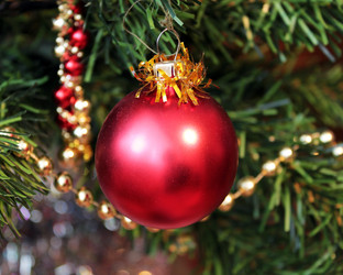 Similar image 450008