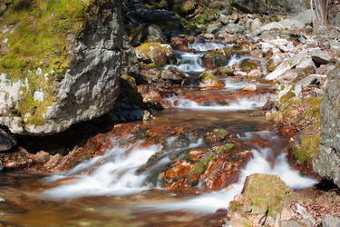 Similar image 450070