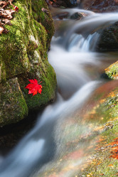 Similar image 450074