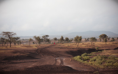 Similar image 450099