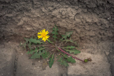 Similar image 450100