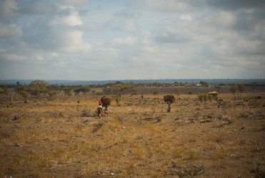 Similar image 450103