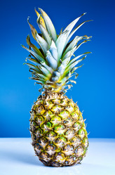 Similar image 450117