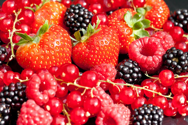 Similar image 450128