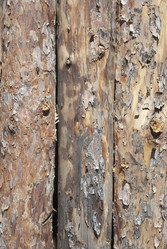 Similar image 450148