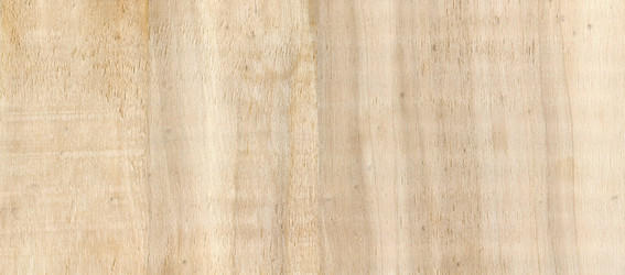 Similar image 450317