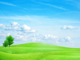 Similar image 450320