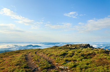 Similar image 450455