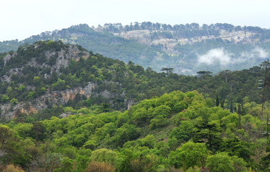 Similar image 450462