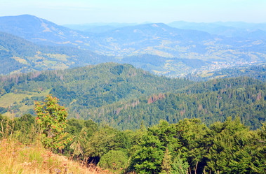 Similar image 450463