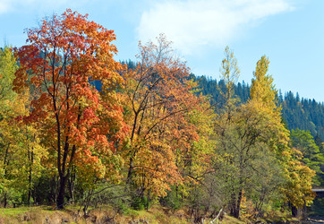 Similar image 450469