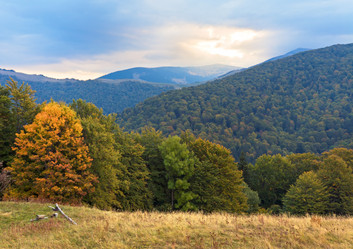 Similar image 450478