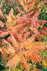 Similar image 450493