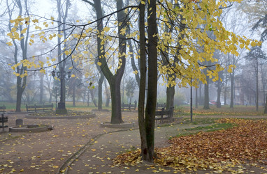 Similar image 450502