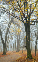 Similar image 450506