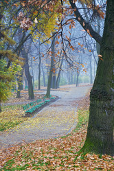 Similar image 450507