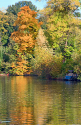 Similar image 450514