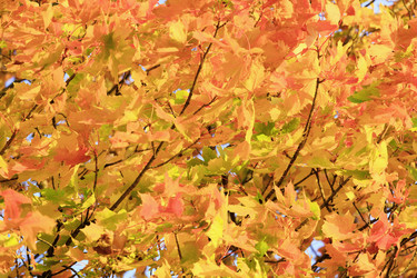 Similar image 450517